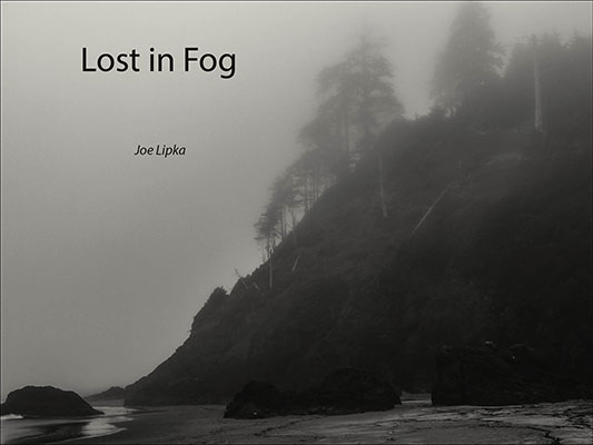 Lost in Fog